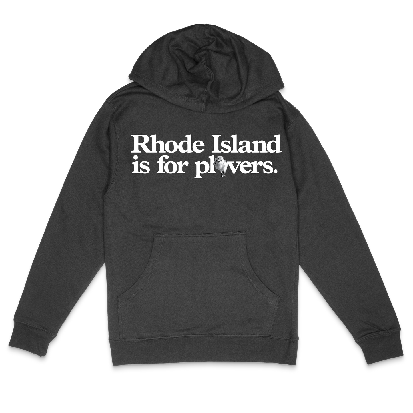 RI is for plovers Hoodie